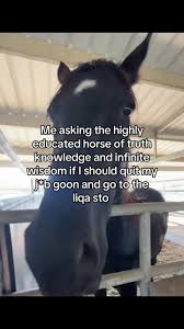 the horse of wisdom